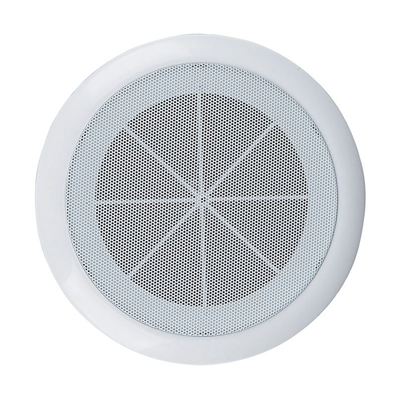 Voice Alarm System In Ceiling in Wall Speakers
